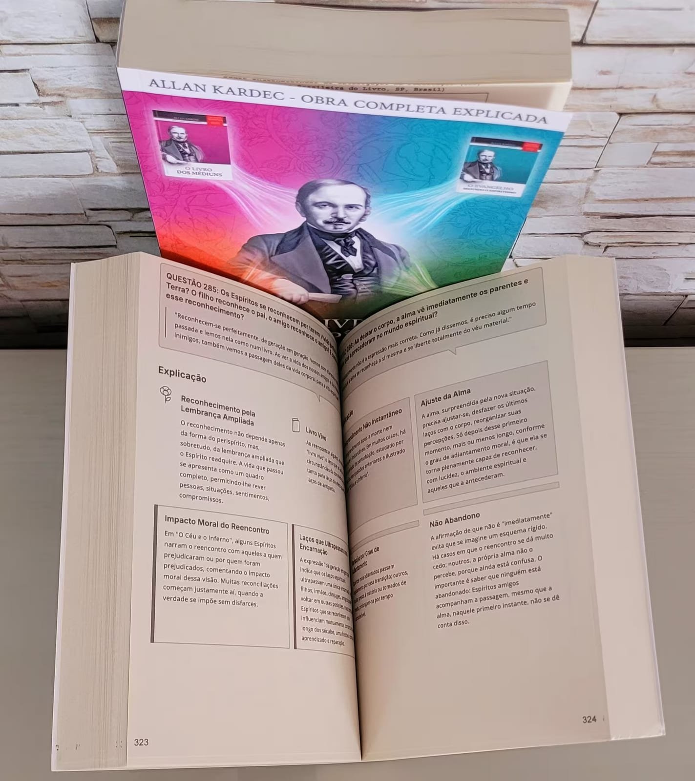 Miolo do livro por dentro